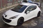 YMスポーツ プジョー 207 スーパー2000 / YM SPORT PEUGEOT 207 SUPER2000