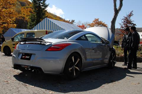 YM SPORT RCZ