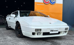 ロータス エスプリ 2.2（LOTUS Esprit 2.2）の一般修理 | 大阪府高槻市のO様