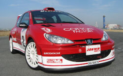 カスタム チューニング例｜YMスポーツ プジョー 206WR / YM SPORT PEUGEOT 206WR