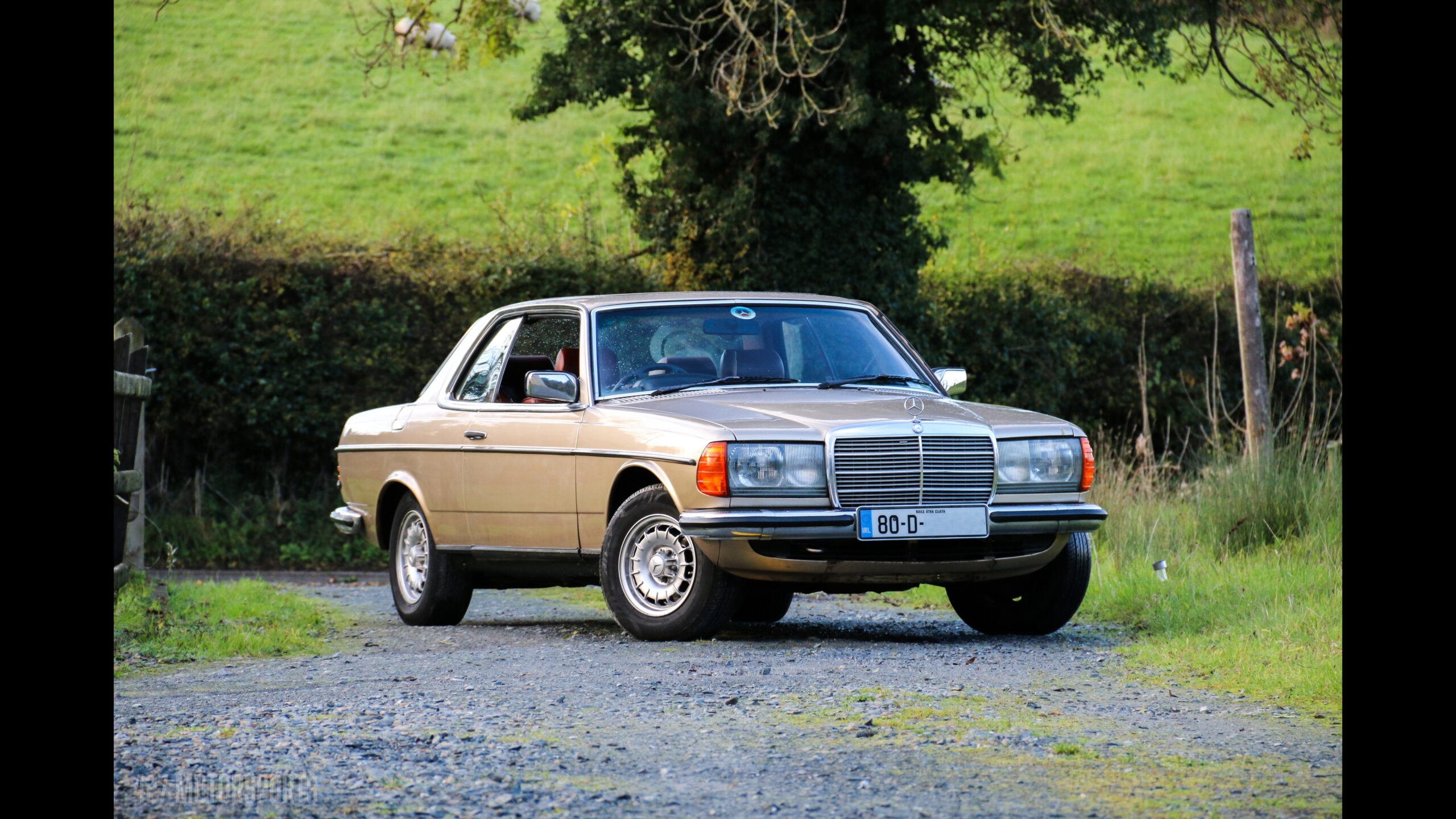 特選輸入車Vol.670｜Mercedes-Benz W123 280CE Coupe（メルセデス 